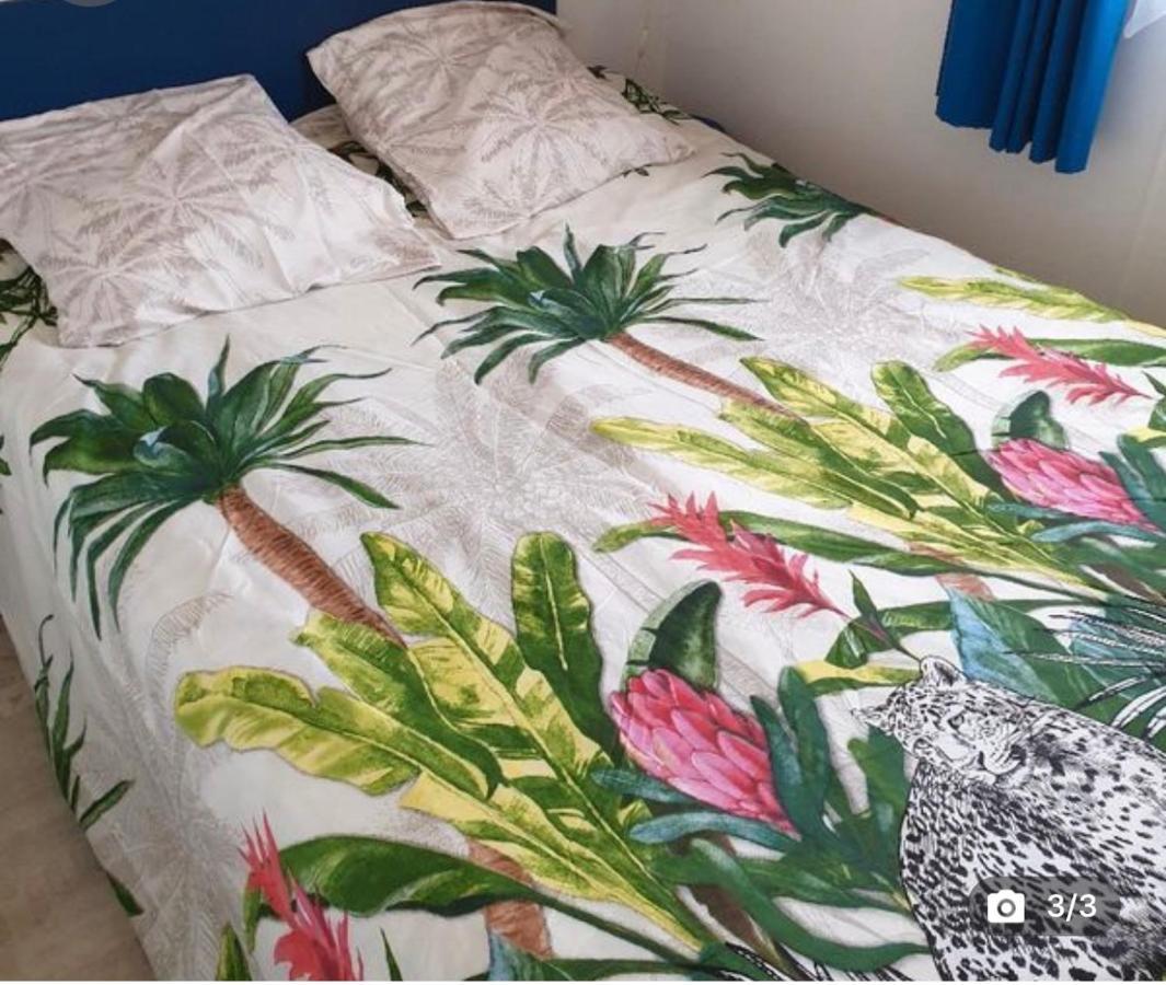 Mobilehome 3 Chambres Curistes Camping Piscine Saint-Paul-les-Dax Bagian luar foto